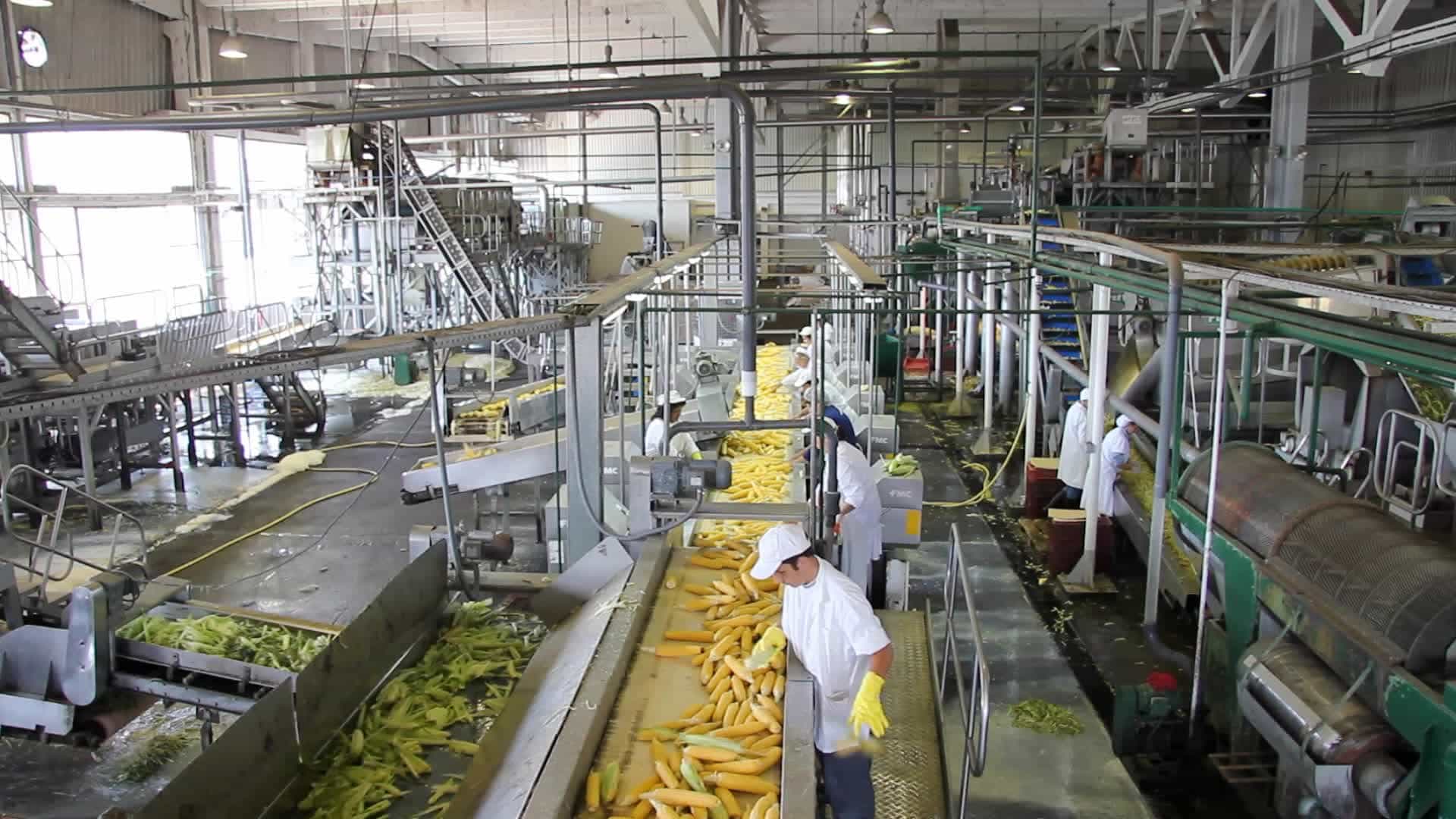 Industrias De Alimentos Operan A Un De Su Capacidad Instalada