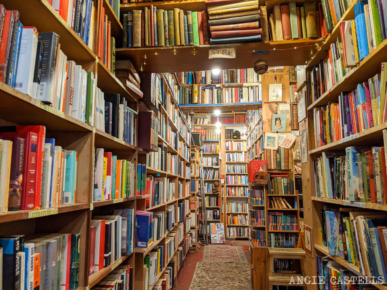 80 de las librerías venezolanas han cerrado en los últimos años