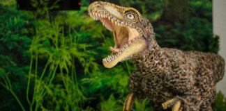 dinosaurio Museo de Ciencias Tachiraptor
