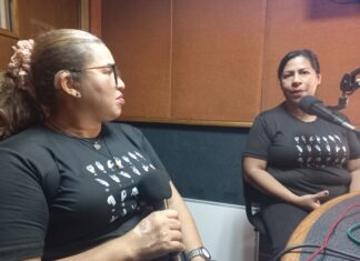 Sostienen que la discapacidad auditiva es cada vez más invisible en Venezuela
