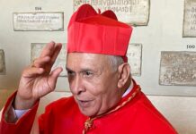 Cardenal Diego padrón