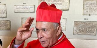 Cardenal Diego padrón