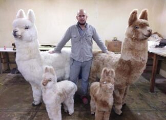 Franko Gercegg: El venezolano creador de la alpaca que las kardashian le regalaron al hijo de Paris Hilton