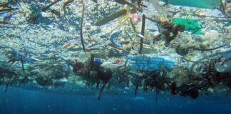 ONU advierte que para 2050 podría haber más plástico que peces en los océanos