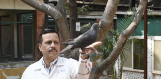 La policía libera a 'paloma espía china' después de 8 meses de encierro en la India
