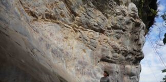 Proyecto Arqueológico Canaima: Al pie de los tepuyes del parque existe un tesoro arqueológico desconocido