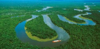 Amazonía Colombia