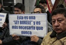 Bolivia plantea ley que castiga el robo con siete años de cárcel para frenar inseguridad