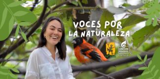 Emi Miyazawa Unión Radio cultural Provita