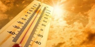 Calor ola de calor