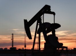 petróleo OPEP emiratos árabes unidos producción petrolera