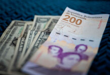¿Eliminar el Bolívar? Pedro Palma alerta sobre los riesgos de la dolarización y propone autonomía para el BCV