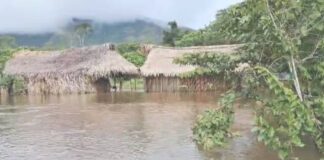 Amazonas Yanomami crecida del río Amazonas inundación